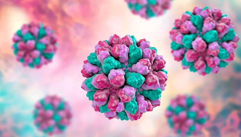 norovirus