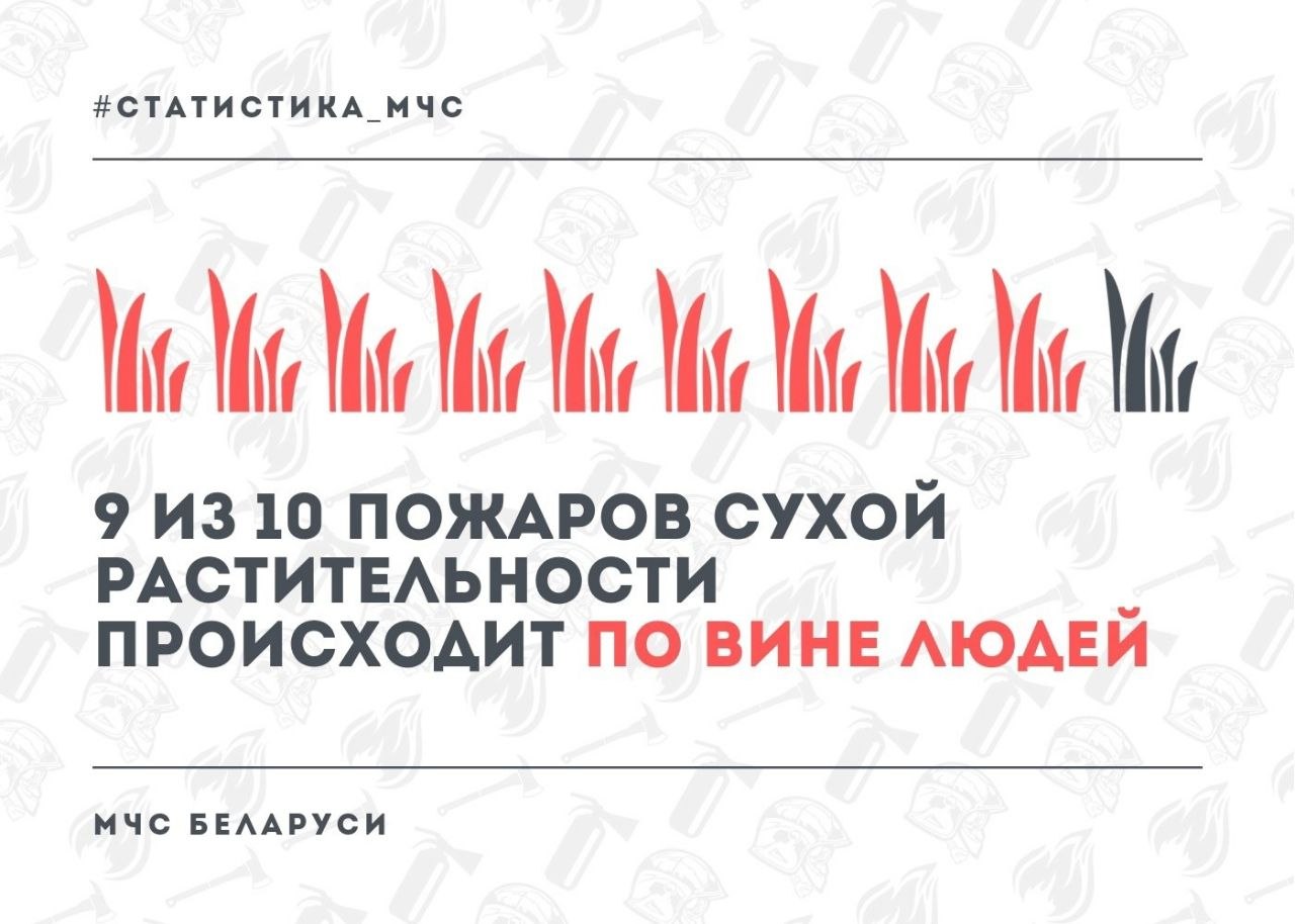 Статистика МЧС: 9 из 10 пожаров сухой растительности происходит по вине людей